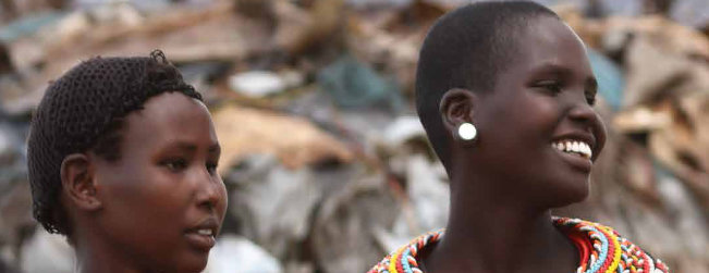 Promoting Inclusive Parliaments and Political Processes